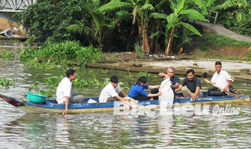 Thả hơn 32.000 con cá giống nước ngọt vào môi trường tự nhiên