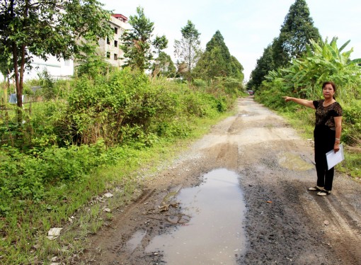 Người dân ở khu dân cư Phú An đề nghị được cấp Giấy chứng nhận quyền sử dụng đất 