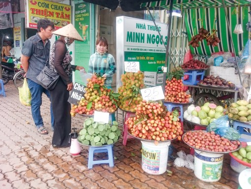 Nguồn cung dồi dào, giá nhiều loại trái cây giảm mạnh