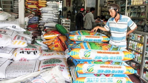 Phân bón giảm giá