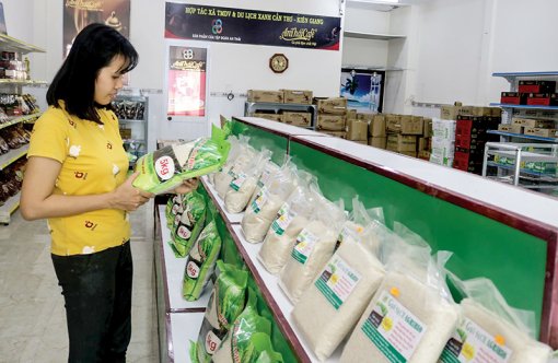 Đưa mô hình hợp tác xã kiểu mới phát triển phù hợp

với thực tế