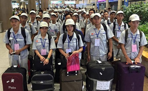 Năm 2018, đưa 100 lao động Cà Mau đi làm việc ở nước ngoài