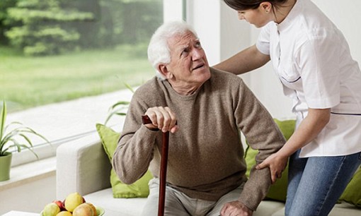 Vitamin B3 – hy vọng mới trong điều trị

bệnh Parkinson