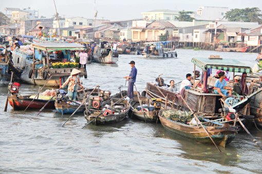 Cam kết cùng với Việt Nam giải quyết biến đổi khí hậu, ô nhiễm môi trường