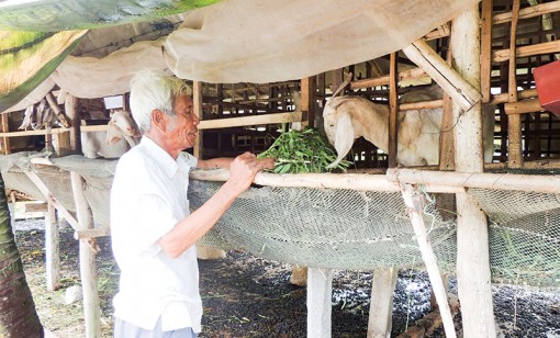 Đáp ứng yêu cầu thực tiễn

và nguyện vọng người dân