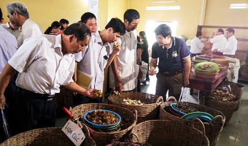 Hội thảo đầu tiên về điều trị bệnh gan bằng Đông y