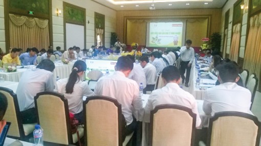 Chuyển tư duy từ sản xuất nông nghiệp sang kinh tế nông nghiệp