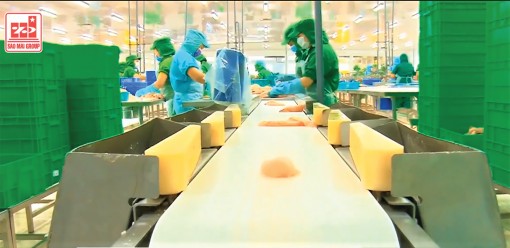 IDI và lý tưởng phát triển bền vững