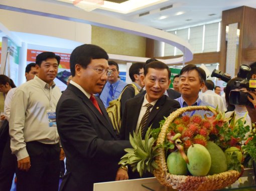 Hợp tác liên khu vực hành động vì sự phát triển bền vững