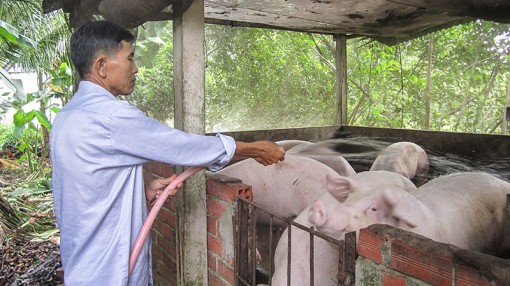 Phát huy hiệu quả nguồn vốn vay Ngân hàng Chính sách Xã hội