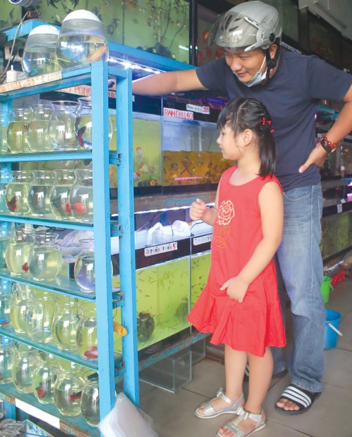 Đa dạng về chủng loại và giá cả