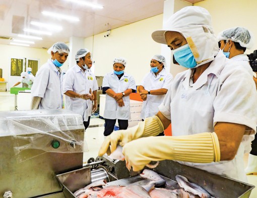 Đảm bảo mục tiêu kinh doanh, hài hòa lợi ích 