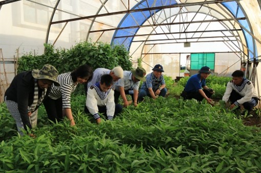 Lan tỏa tình yêu biển, đảo