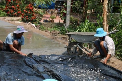 Cả nước có 3.370 xã đạt chuẩn nông thôn mới