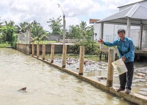Chú trọng phát triển mô hình giá trị kinh tế cao