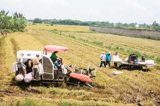Nỗ lực duy trì tăng trưởng kinh tế ở mức cao