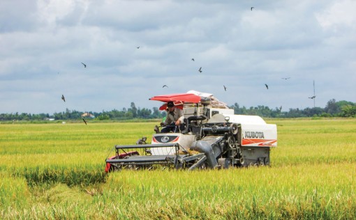 Hợp tác xã “kiểu mới” Hiếu Bình