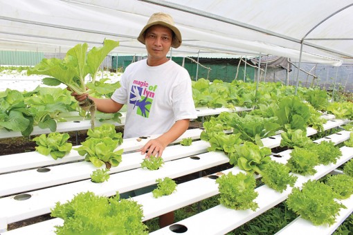 Hỗ trợ nông dân thích ứng

biến đổi khí hậu