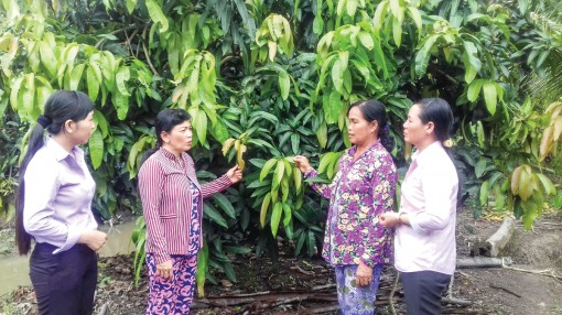 Xây dựng các mô hình kinh tế hiệu quả