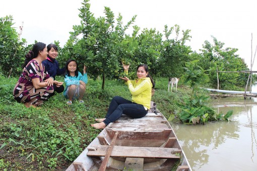 An Giang: Vườn sinh thái đậm “chất quê” của một nhà nông