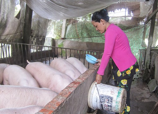 Trợ lực để thoát nghèo nhanh, bền vững