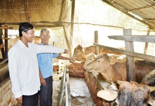 យុវ​​ជន​ខ្មែរ​សាង​អា​ជីព​