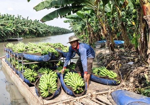 Thới Hưng quyết tâm

về đích đúng hẹn