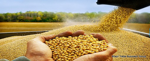 Trung Quốc đổ tiền vào Brazil