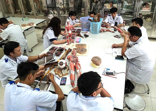 Chọn đúng, khả năng trúng tuyển cao