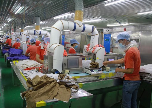 Xây dựng tổ chức Công đoàn ngày càng vững mạnh