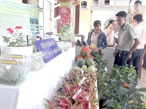 Đưa khoa học và công nghệ vào tái cấu trúc sản xuất nông nghiệp ĐBSCL