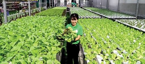 Đầu tư hợp lý, đáp ứng

sát sườn thực tiễn sản xuất