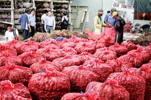 Cuộc giải cứu hành tím