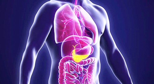 Nhận diện nguy cơ mắc ung thư tụy