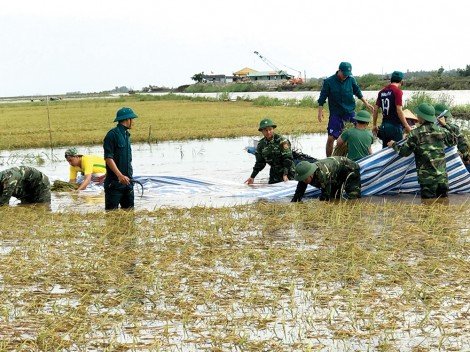 Cuối tháng 8, mực nước đầu nguồn có thể vượt báo động 1