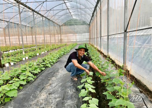 Kết nối với các địa phương và doanh nghiệp phát triển nông nghiệp công nghệ cao