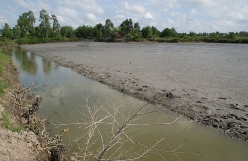 "Ngân hàng đất" đầu tiên ở ĐBSCL