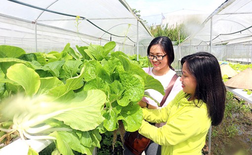 Khám phá

Cần Thơ Farm