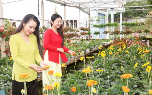 Nông sản Bình Thủy rộng đường hội nhập