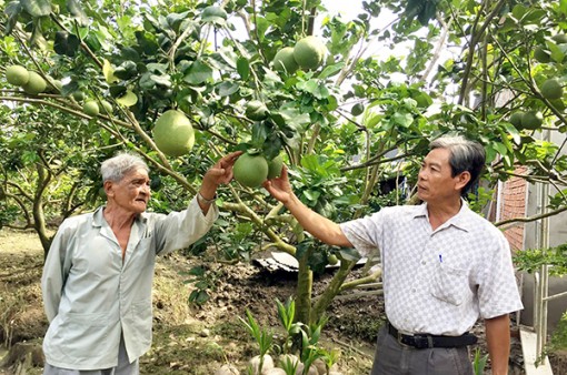 Nỗ lực chăm lo đời sống nhân dân