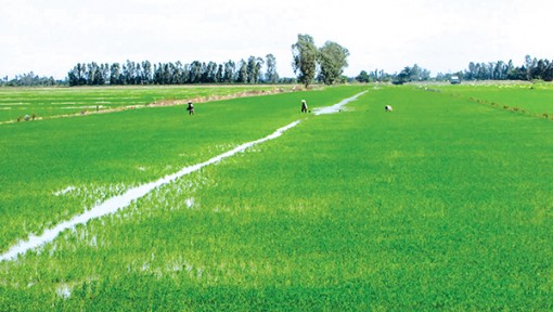 An toàn sản xuất  khi nước lũ về