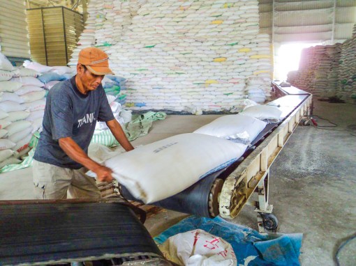 Cơ hội để hạt gạo Việt tiến sâu vào thị trường Trung Quốc