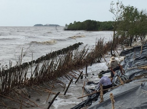 Cà Mau khẩn cấp đầu tư xây kè chắn sóng bờ biển Đông