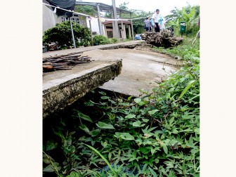 Cần khẩn trương khắc phục các điểm sạt lở

ở phường Thới An Đông