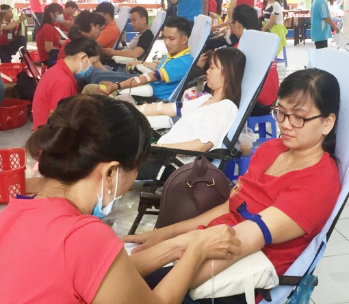 Ngày hội “Giọt hồng hè Tây Đô” tiếp nhận 231 đơn vị máu
