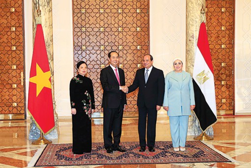 Chủ tịch nước Trần Đại Quang hội đàm với Tổng thống Ai Cập Abdel Fattah Al Sisi