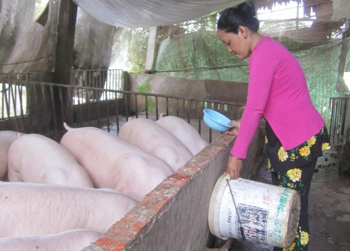 ជំ​នួយ​កម្លាំង​ដើម្បី​ជន​រួម​ជាតិ​ខ្មែរ ចាក​ផុត​ពី​ភាព​ក្រី​ក្រ​ដោយ​ចីរ​ភាព​