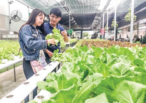 Mở lối cho nông nghiệp đồng bằng