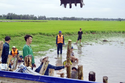 Ứng phó lũ lớn ở ĐBSCL và mưa lũ tại Bắc Bộ