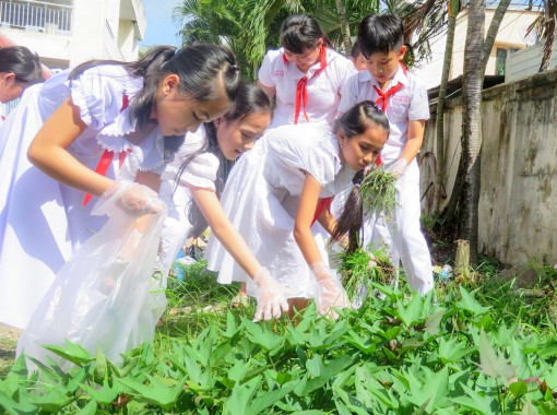 Chuẩn bị tốt các nền tảng đáp ứng yêu cầu đổi mới giáo dục